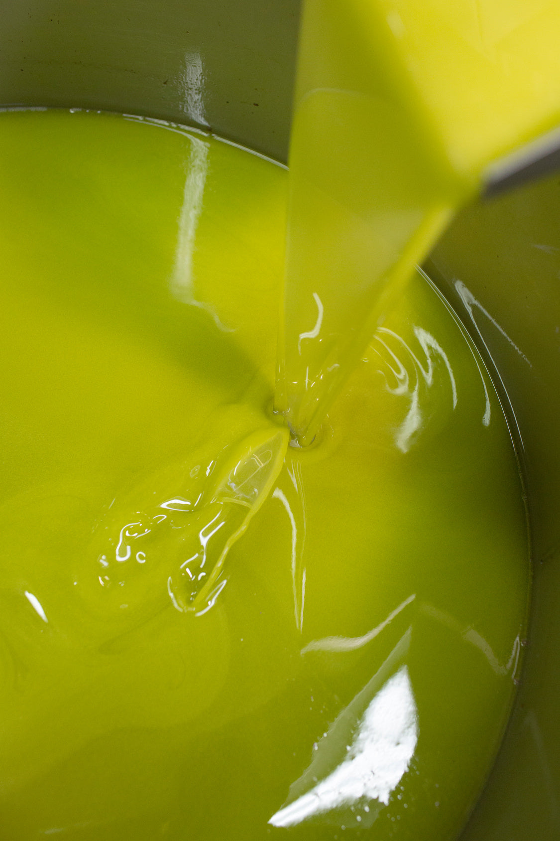 Cold Pressed Olive Oil: What It Actually Means, From the Press Floor